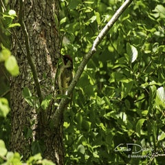 dsc_12512-1.jpg