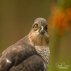 dsc_84203.jpg
