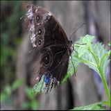 DSCN3168.jpg