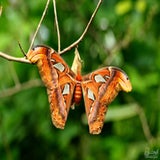 DSC_0666.jpg