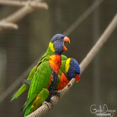 dsc_78982.jpg