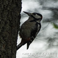 dsc_66662.jpg