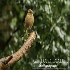 dsc_60012.jpg