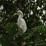 DSC_35032.jpg