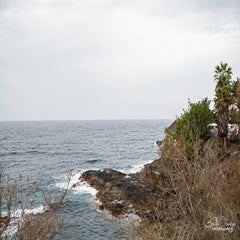 dsc_43852.jpg