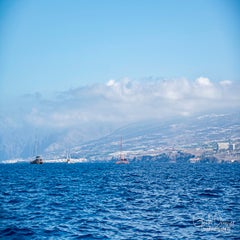 dsc_47133.jpg