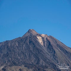 dsc_50693.jpg