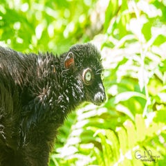 dsc_08593-1.jpg