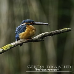 dsc_12302.jpg