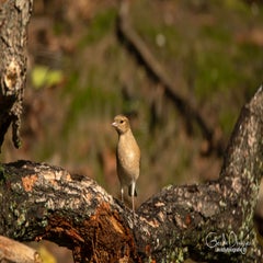 dsc_59722.jpg