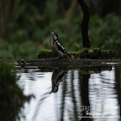 dsc_70692.jpg