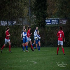 dsc_92212.jpg