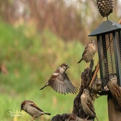 dsc_27562.jpg