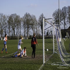 dsc_88242.jpg