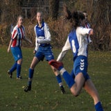 DSCN2393.jpg