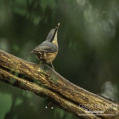 dsc_60522.jpg