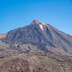 dsc_50613.jpg