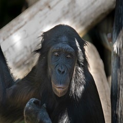 dsc_076322.jpg