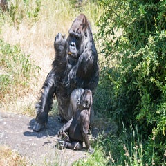 dsc_10652-1.jpg