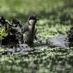 dsc_12102.jpg