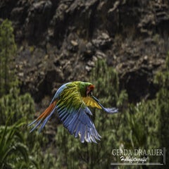 dsc_52562-1.jpg