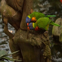 dsc_18073.jpg