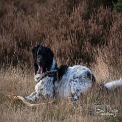 dsc_68793.jpg