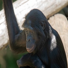 dsc_076122.jpg