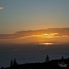 dsc_45343.jpg