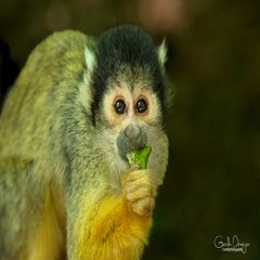 dsc_07163.jpg