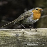 DSC_69622.jpg