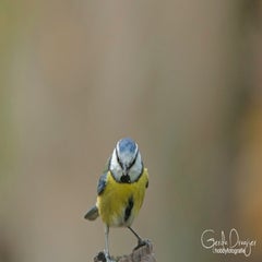 dsc_86423.jpg