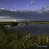 Lofar
