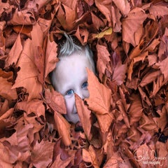 dsc_93733.jpg