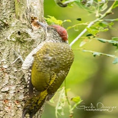 dsc_27053.jpg