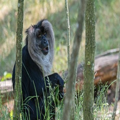 dsc_13273.jpg