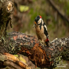 dsc_57702.jpg