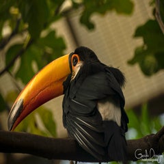 dsc_15493.jpg