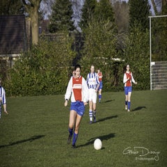 dsc_88162.jpg