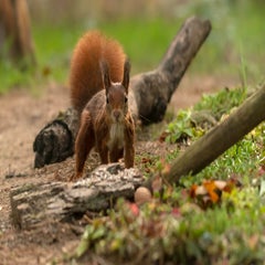dsc_88132-1.jpg