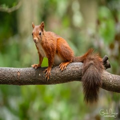 dsc_24343.jpg