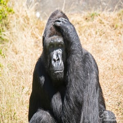 dsc_11723.jpg