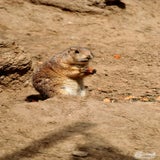 DSC_0639.jpg