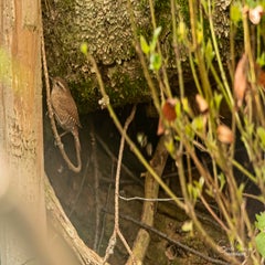 dsc_86272.jpg