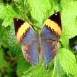 DSCN3308.jpg