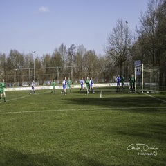 dsc_87542.jpg