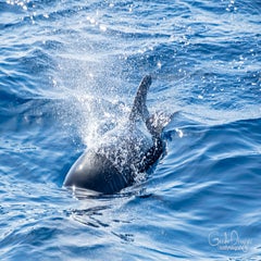 dsc_47773.jpg
