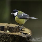 DSC_68512.jpg