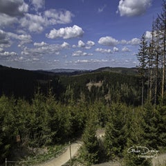 dsc_06092.jpg
