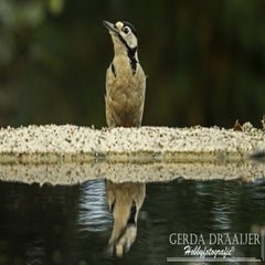 dsc_62802.jpg